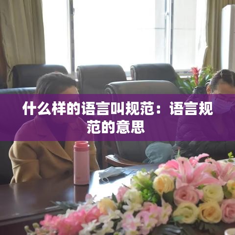 什么樣的語言叫規(guī)范：語言規(guī)范的意思 