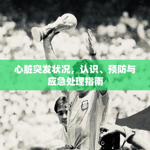 心臟突發(fā)狀況，認(rèn)識、預(yù)防與應(yīng)急處理指南