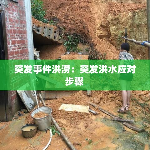 突發(fā)事件洪澇：突發(fā)洪水應(yīng)對步驟 