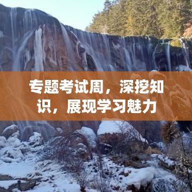 專題考試周，深挖知識，展現(xiàn)學習魅力