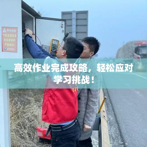 高效作業(yè)完成攻略，輕松應(yīng)對學習挑戰(zhàn)！