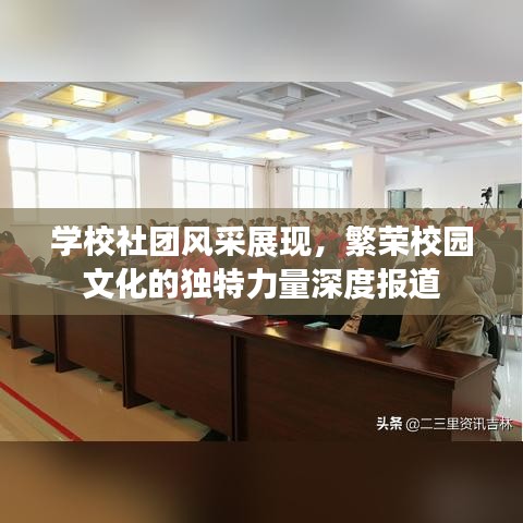 學校社團風采展現(xiàn)，繁榮校園文化的獨特力量深度報道