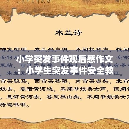 小學(xué)突發(fā)事件觀后感作文：小學(xué)生突發(fā)事件安全教育手抄報(bào) 