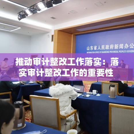 推動(dòng)審計(jì)整改工作落實(shí)：落實(shí)審計(jì)整改工作的重要性 