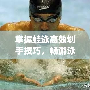 掌握蛙泳高效劃手技巧，暢游泳池?zé)o界限