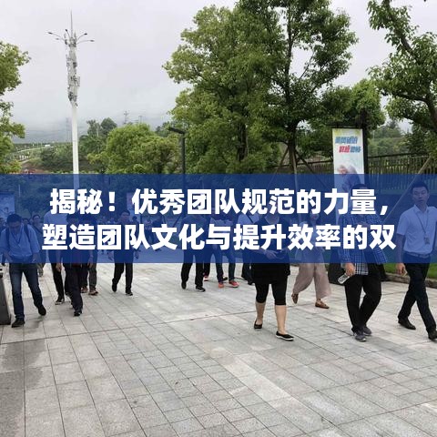 揭秘！優(yōu)秀團(tuán)隊(duì)規(guī)范的力量，塑造團(tuán)隊(duì)文化與提升效率的雙重秘訣