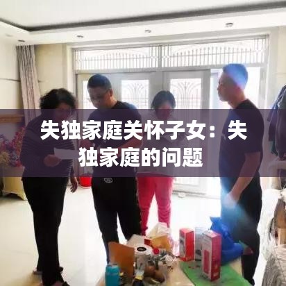 失獨(dú)家庭關(guān)懷子女：失獨(dú)家庭的問題 