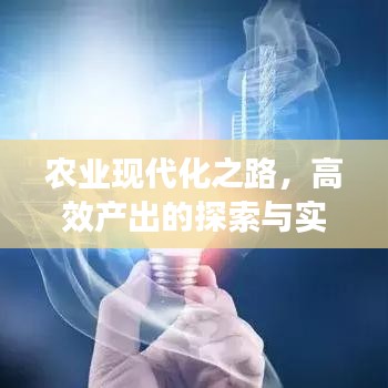 農(nóng)業(yè)現(xiàn)代化之路，高效產(chǎn)出的探索與實踐