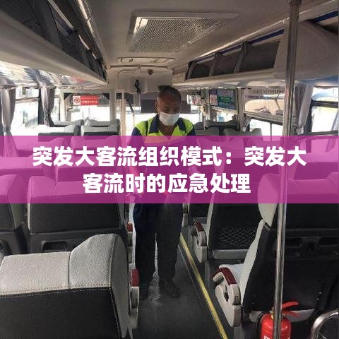 突發(fā)大客流組織模式：突發(fā)大客流時(shí)的應(yīng)急處理 