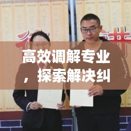 高效調(diào)解專業(yè)，探索解決糾紛的新路徑