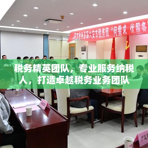 稅務(wù)精英團(tuán)隊(duì)，專業(yè)服務(wù)納稅人，打造卓越稅務(wù)業(yè)務(wù)團(tuán)隊(duì)