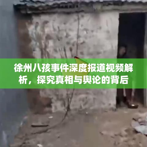 徐州八孩事件深度報(bào)道視頻解析，探究真相與輿論的背后