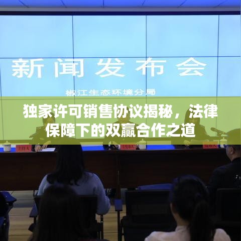 獨(dú)家許可銷售協(xié)議揭秘，法律保障下的雙贏合作之道