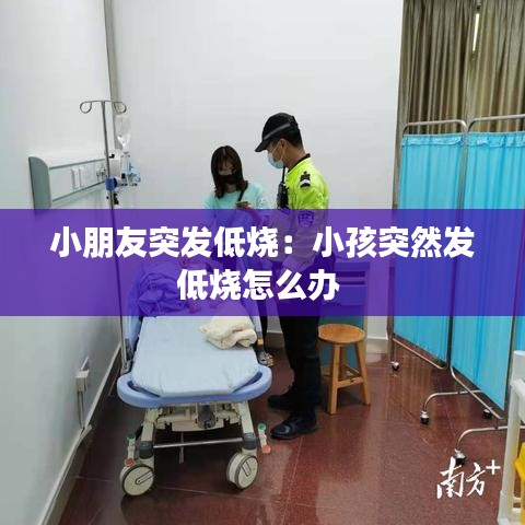 駕輕就熟 第4頁