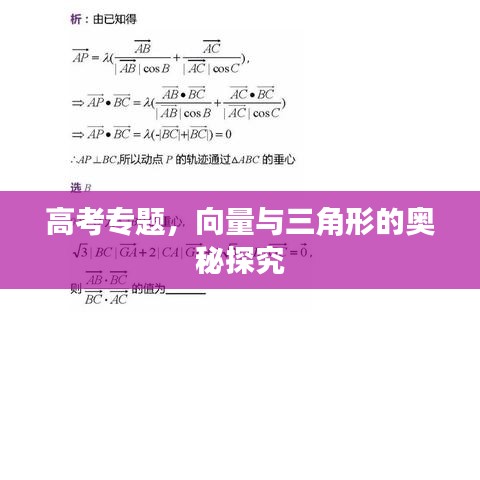 高考專題，向量與三角形的奧秘探究