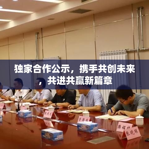 獨家合作公示，攜手共創(chuàng)未來，共進共贏新篇章