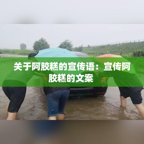 關(guān)于阿膠糕的宣傳語(yǔ)：宣傳阿膠糕的文案 