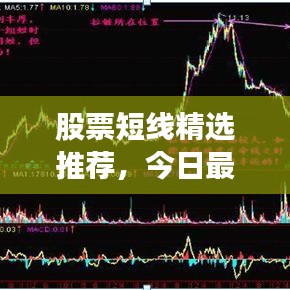 候鳥南飛 第4頁