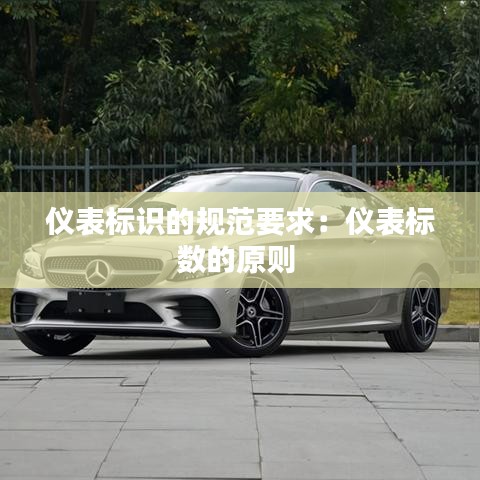 儀表標(biāo)識的規(guī)范要求：儀表標(biāo)數(shù)的原則 