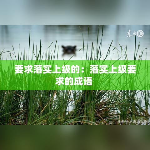 要求落實(shí)上級(jí)的：落實(shí)上級(jí)要求的成語 