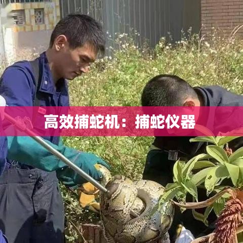 高效捕蛇機(jī)：捕蛇儀器 