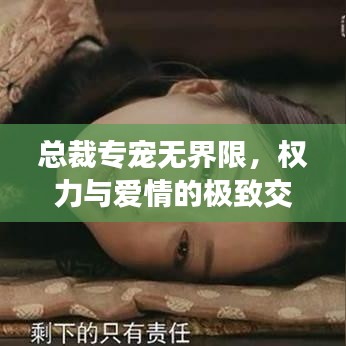 總裁專寵無界限，權(quán)力與愛情的極致交融