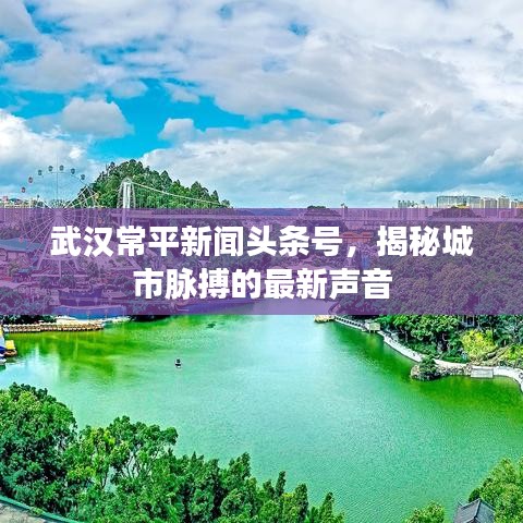 武漢常平新聞?lì)^條號，揭秘城市脈搏的最新聲音