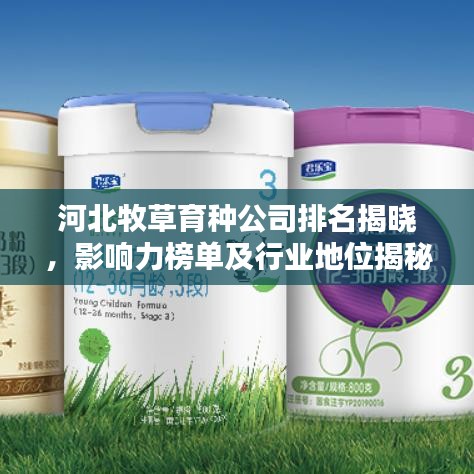 河北牧草育種公司排名揭曉，影響力榜單及行業(yè)地位揭秘