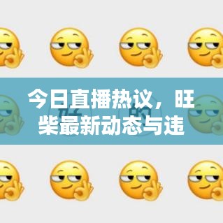 今日直播熱議，旺柴最新動態(tài)與違法犯罪問題探討深度解析