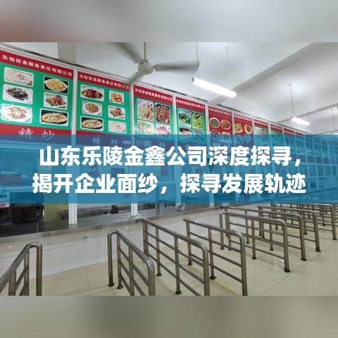 山東樂(lè)陵金鑫公司深度探尋，揭開(kāi)企業(yè)面紗，探尋發(fā)展軌跡