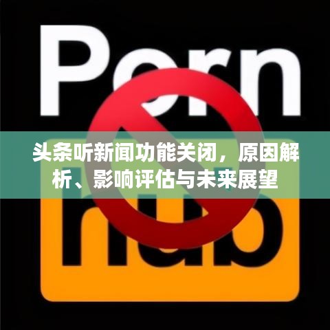 頭條聽新聞功能關(guān)閉，原因解析、影響評估與未來展望