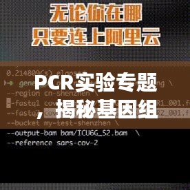 PCR實(shí)驗(yàn)專題，揭秘基因組奧秘探索之旅