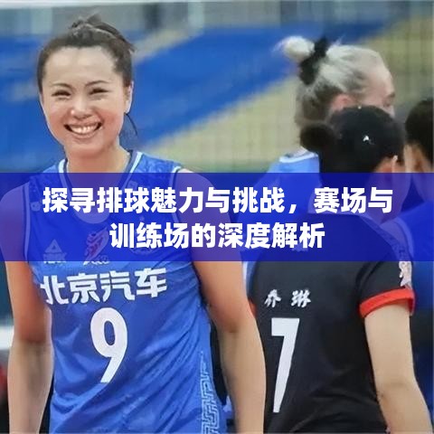 探尋排球魅力與挑戰(zhàn)，賽場(chǎng)與訓(xùn)練場(chǎng)的深度解析
