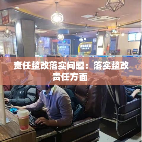 責(zé)任整改落實問題：落實整改責(zé)任方面 