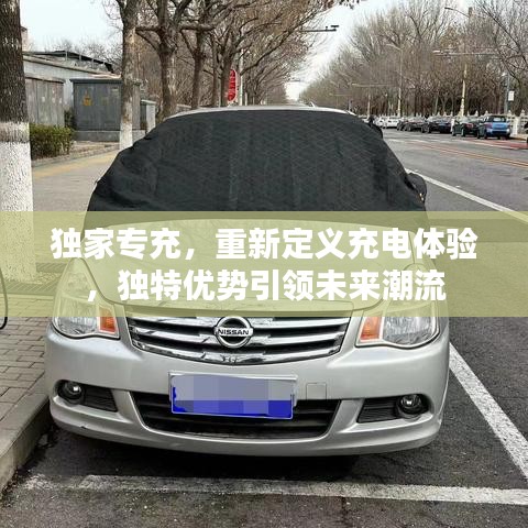 獨家專充，重新定義充電體驗，獨特優(yōu)勢引領未來潮流