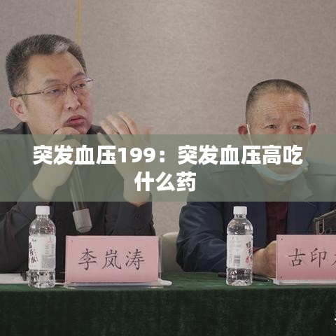 文貴天成 第3頁(yè)