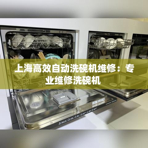 上海高效自動洗碗機維修：專業(yè)維修洗碗機 
