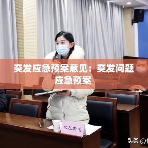 突發(fā)應(yīng)急預(yù)案意見(jiàn)：突發(fā)問(wèn)題應(yīng)急預(yù)案 
