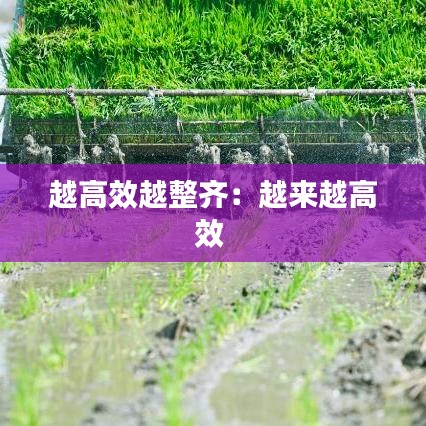 越高效越整齊：越來(lái)越高效 