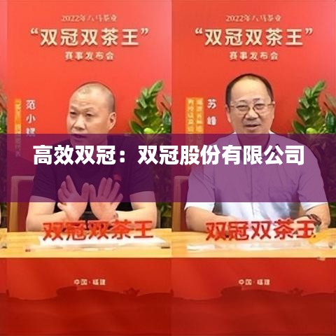 高效雙冠：雙冠股份有限公司 