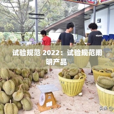 試驗(yàn)規(guī)范 2022：試驗(yàn)規(guī)范闡明產(chǎn)品 
