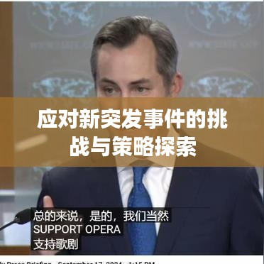 應對新突發(fā)事件的挑戰(zhàn)與策略探索