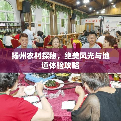 揚州農(nóng)村探秘，絕美風光與地道體驗攻略