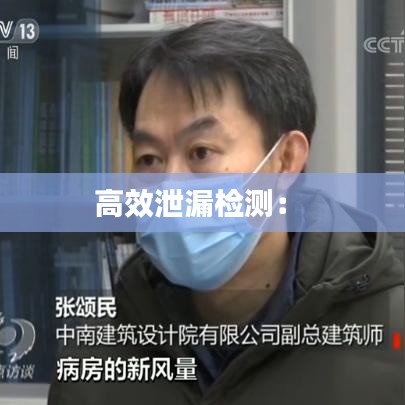 高效泄漏檢測： 