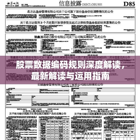 股票數(shù)據(jù)編碼規(guī)則深度解讀，最新解讀與運(yùn)用指南