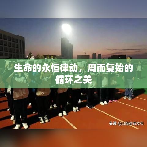 生命的永恒律動，周而復(fù)始的循環(huán)之美