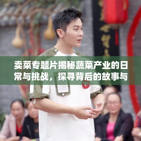 賣菜專題片揭秘蔬菜產(chǎn)業(yè)的日常與挑戰(zhàn)，探尋背后的故事與挑戰(zhàn)