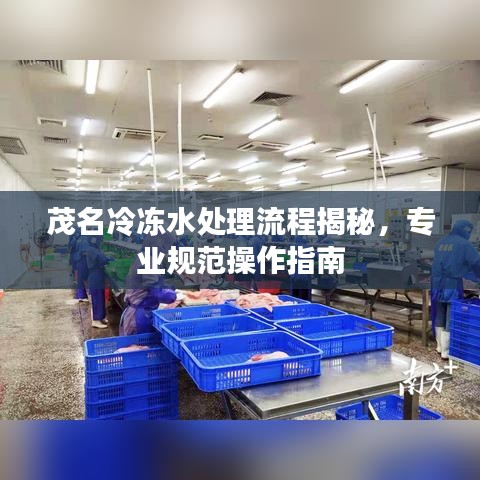 茂名冷凍水處理流程揭秘，專業(yè)規(guī)范操作指南