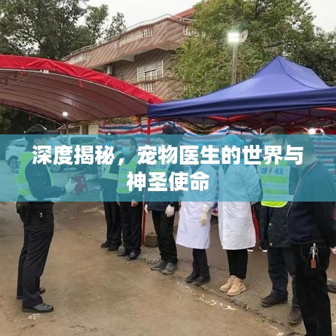 深度揭秘，寵物醫(yī)生的世界與神圣使命