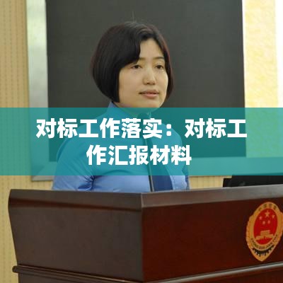 對標工作落實：對標工作匯報材料 